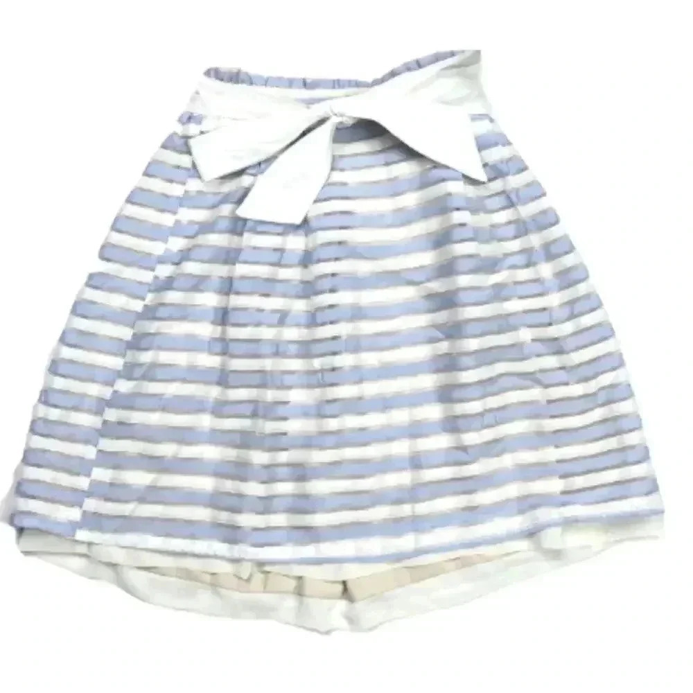 Blue Striped Organza Mini Skirt